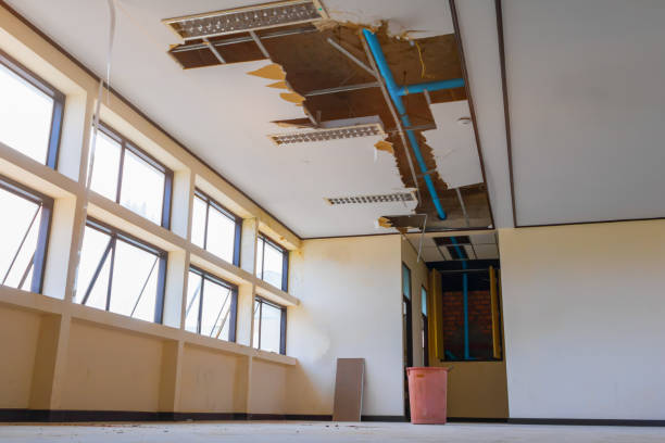 Best Basement water damage restoration  in Searingtown, NY