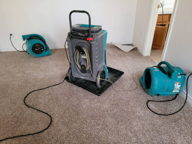 Reliable Searingtown, NY Water damage restoration Solutions