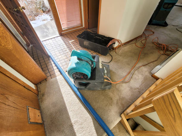 Best Commercial water damage restoration  in Searingtown, NY