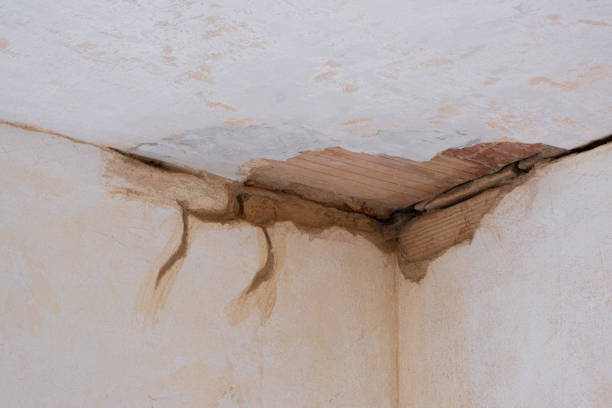 Best Flood damage cleanup  in Searingtown, NY