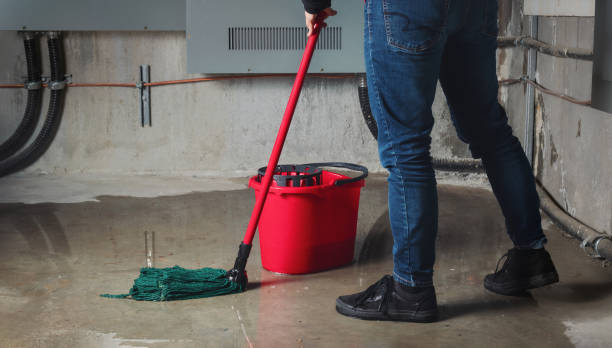 Best 24-hour water damage restoration  in Searingtown, NY