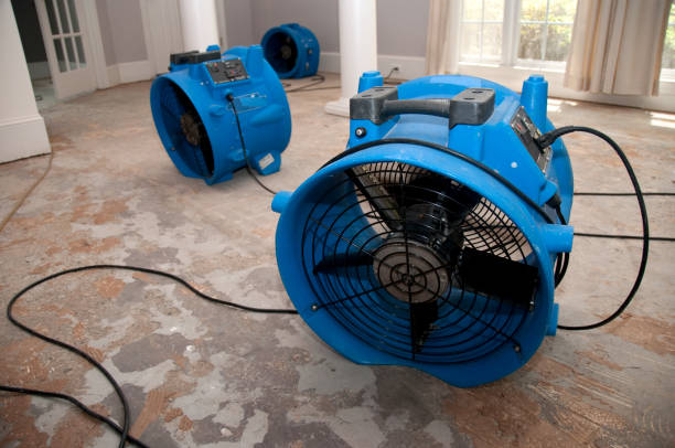 Best Residential water damage restoration  in Searingtown, NY