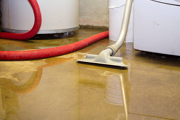 Best 24/7 water damage repair  in Searingtown, NY