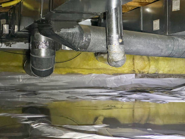 Best Sewage cleanup and water damage restoration  in Searingtown, NY