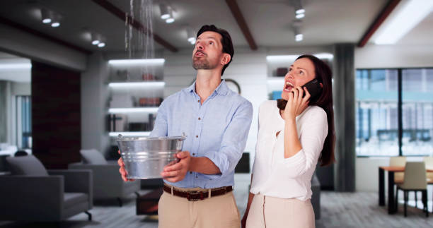 Local water damage restoration in Searingtown, NY