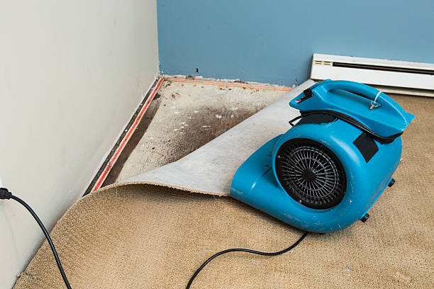 Best Fire Damage Restoration  in Searingtown, NY